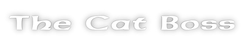 The Cat Boss